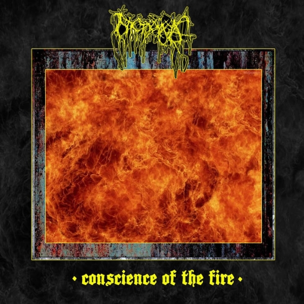 Conscience of the Fire