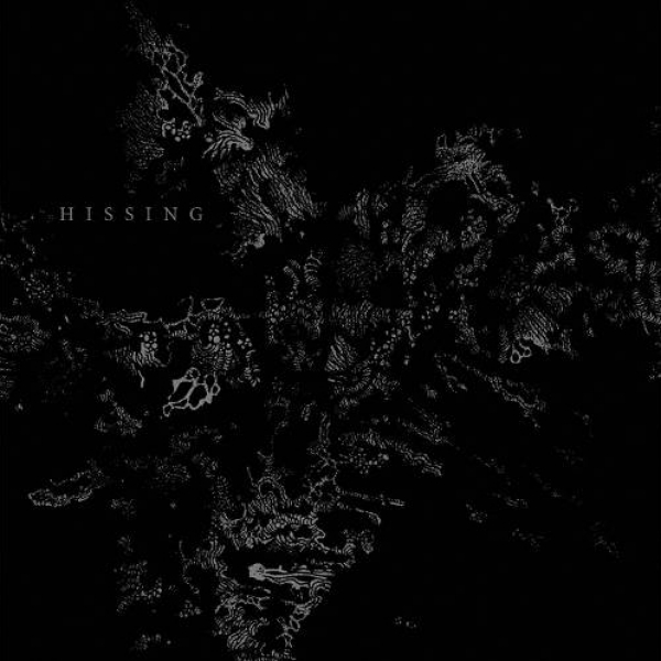 Hissing — Hissing
