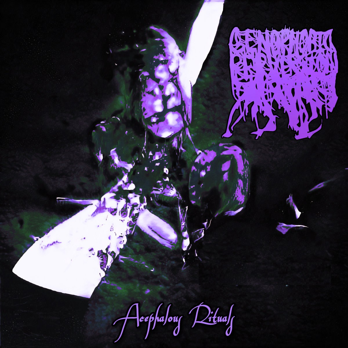 Acephalous Rituals