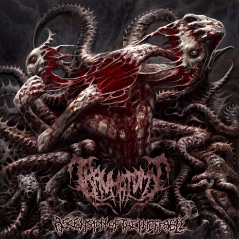 Ascension of the Ineffable
