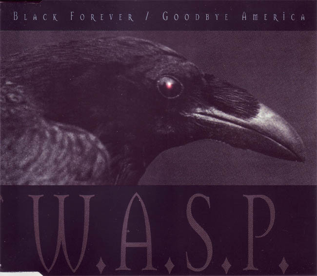 Black Forever / Goodbye America