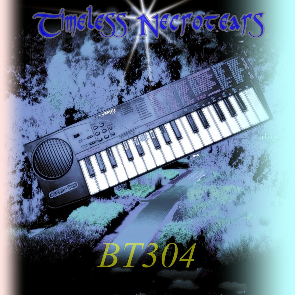 BT304