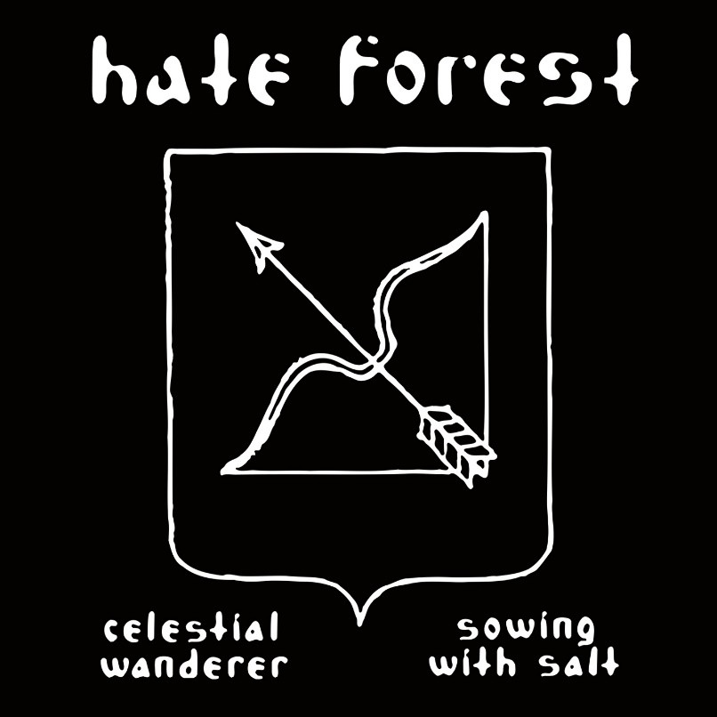 Celestial Wanderer / Sowing with Salt