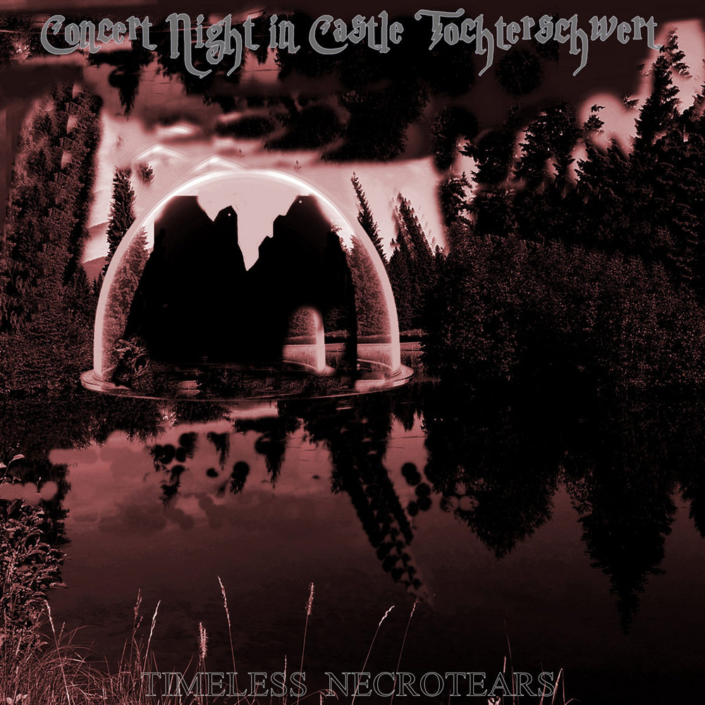 Concert Night in Castle Tochterschwert