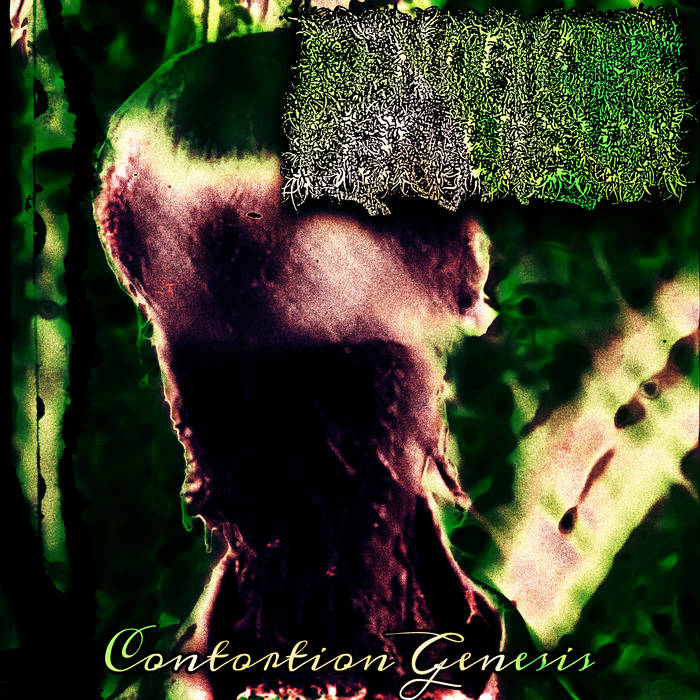 Contortion Genesis
