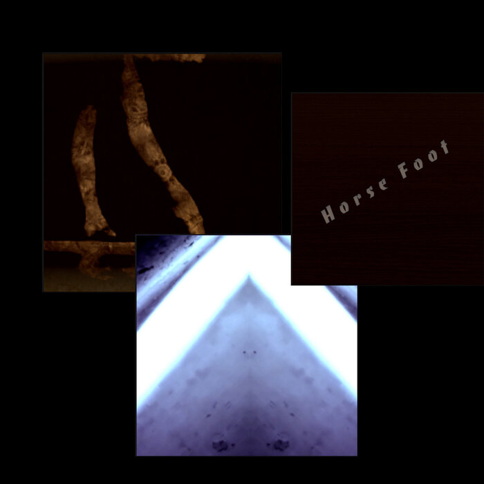 Dec (12)