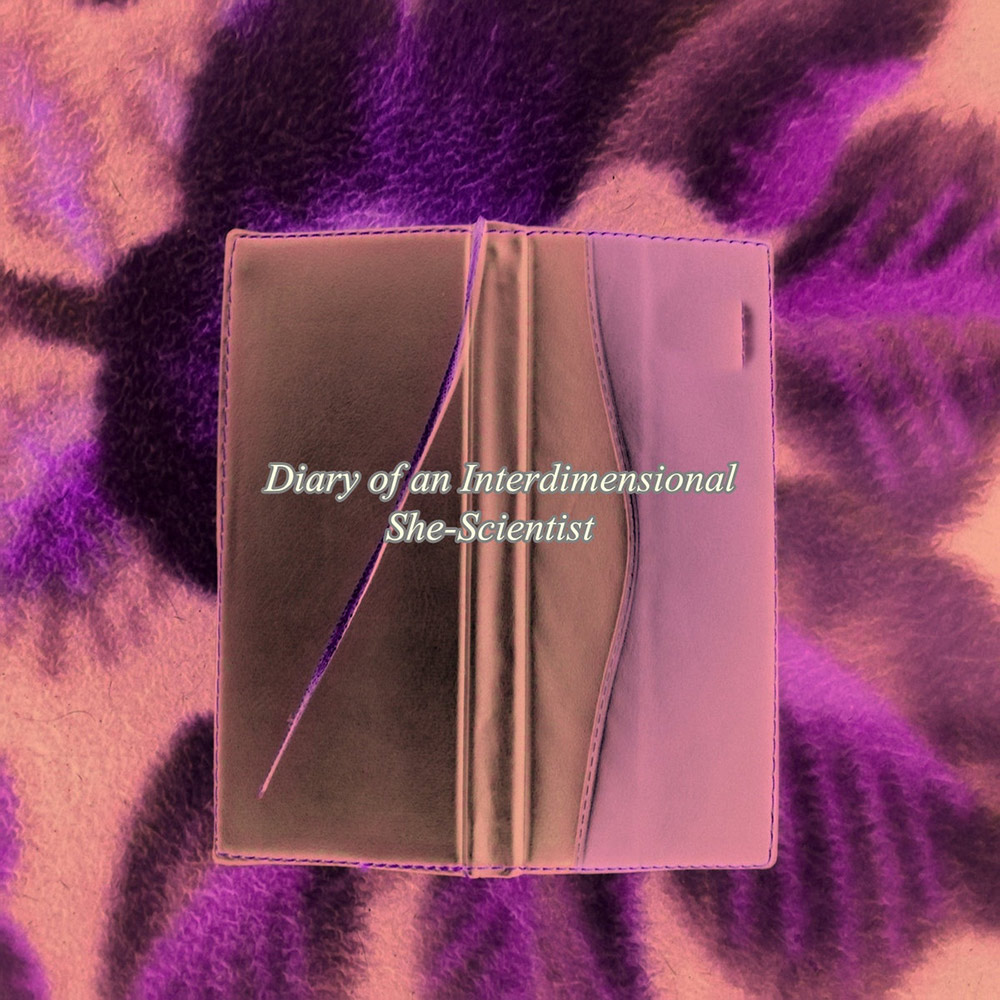 Diary of an Interdimensional She​-​Scientist