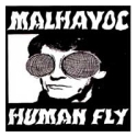 Human Fly