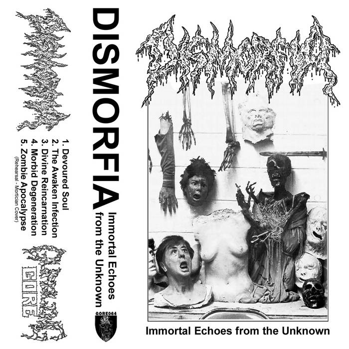Immortal Echoes from the Unknown