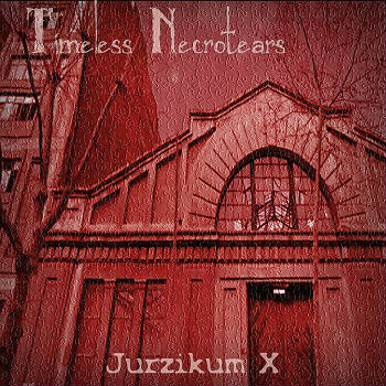 Jurzikum X