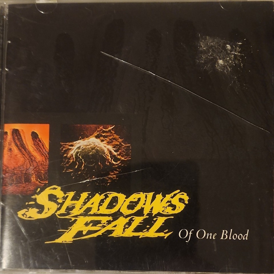 Of One Blood