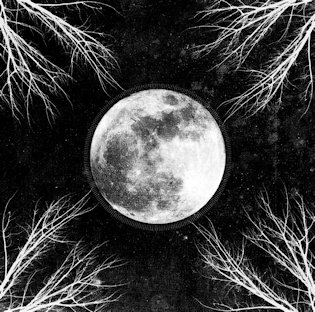 Corpus Christii — PaleMoon