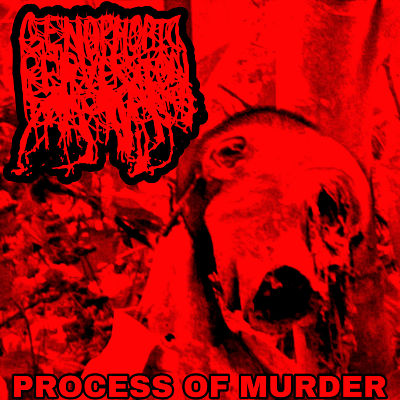 Process of Murder