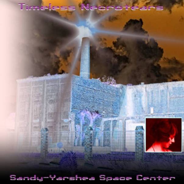 Sandy​-​Yarshea Space Center