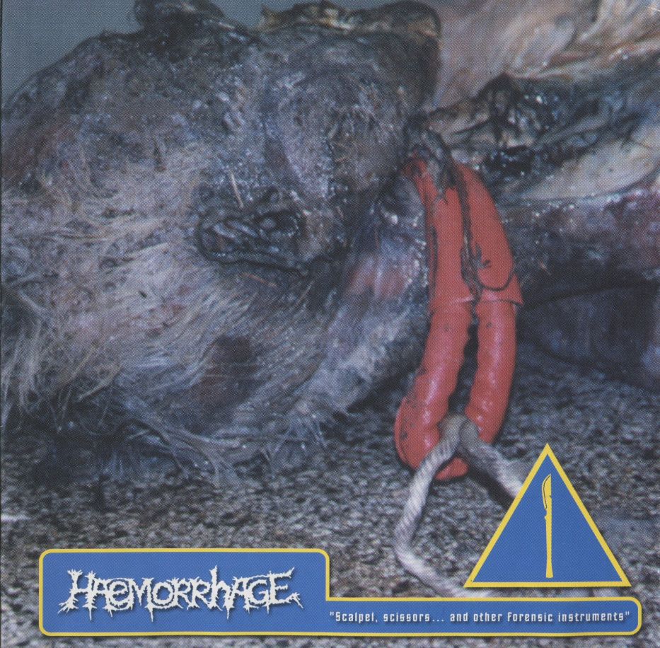 Scalpel, Scissors... and Other Forensic Instruments