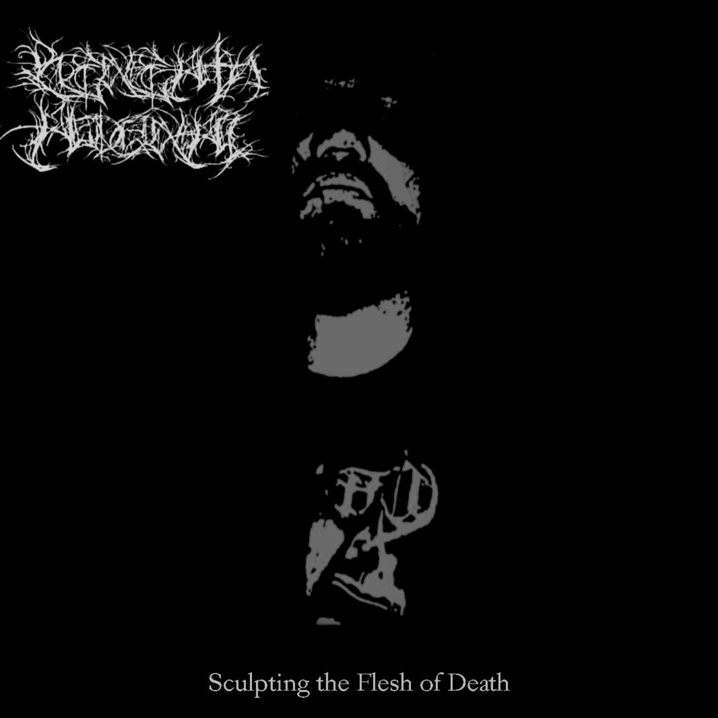 Sculpting the Flesh of Death