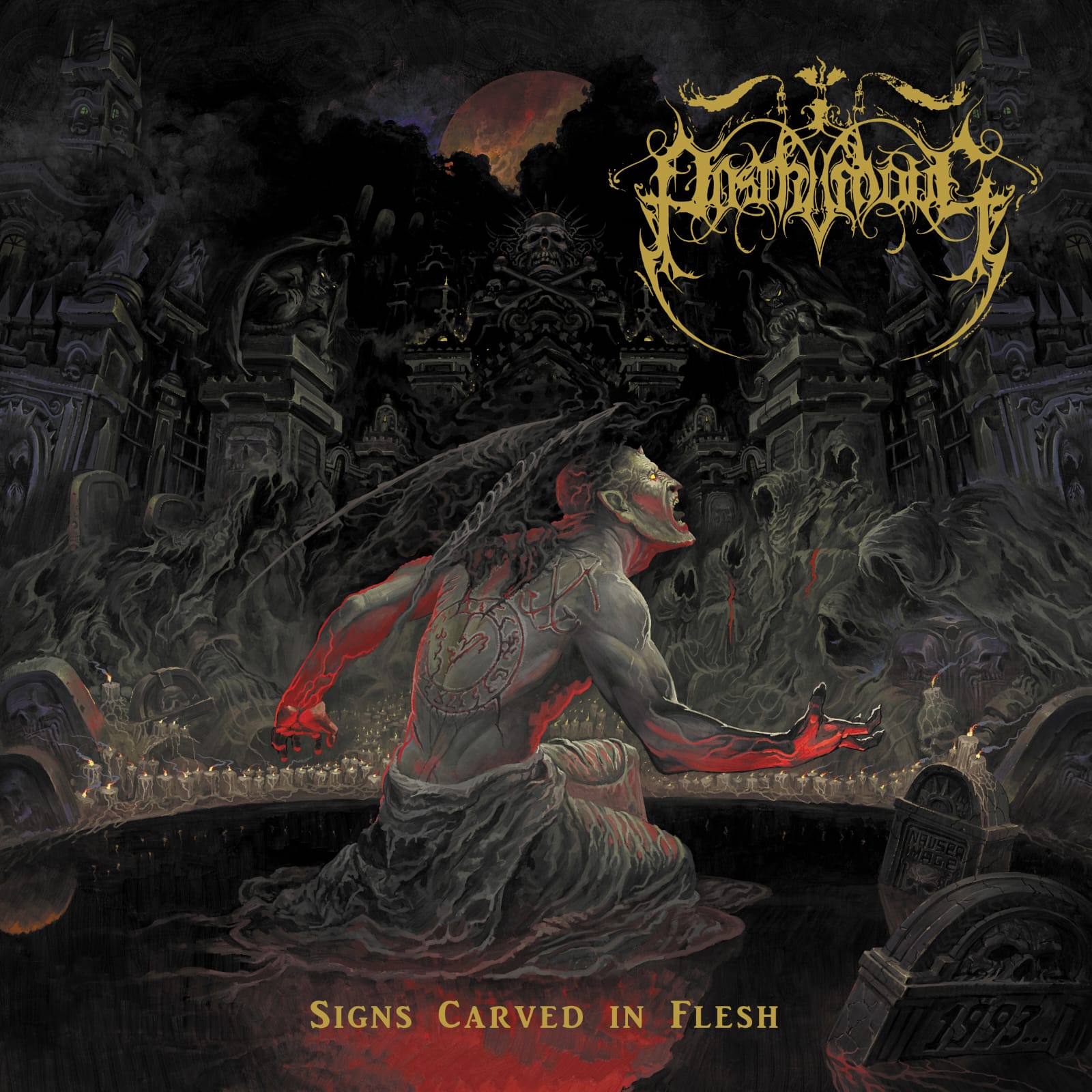 Signs Carved in Flesh