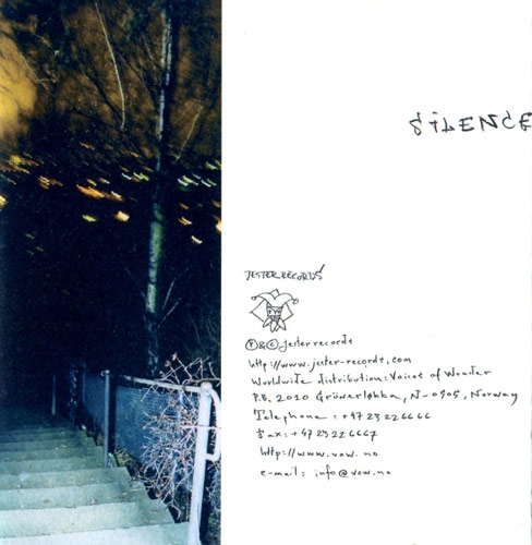 Silence Teaches You How to Sing