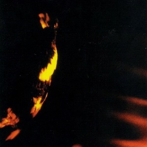 Skepticism - Stormcrowfleet (1995)