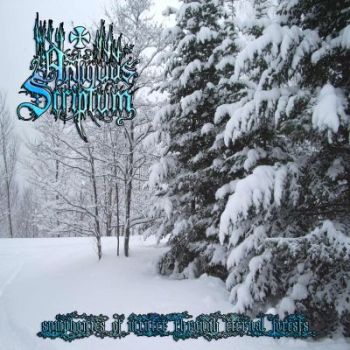 Symphonies of Winter Through Eternal Forests