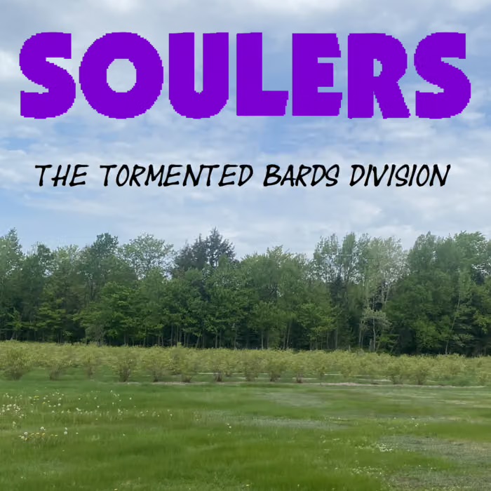 The Tormented Bards Division