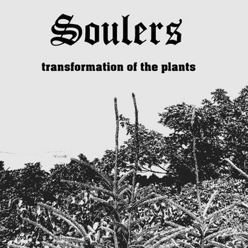 Transformation of the Plants