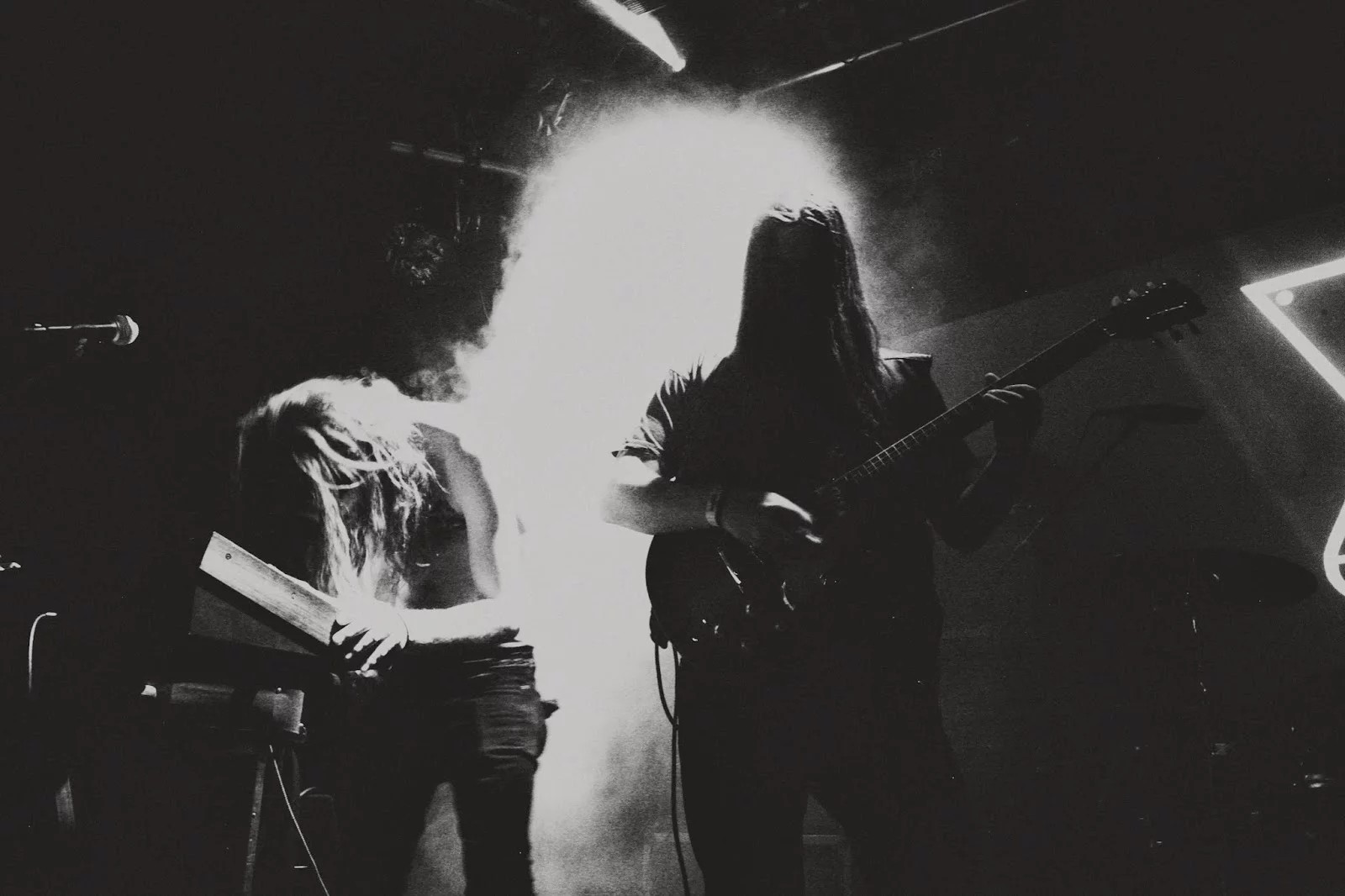 Ash Borer