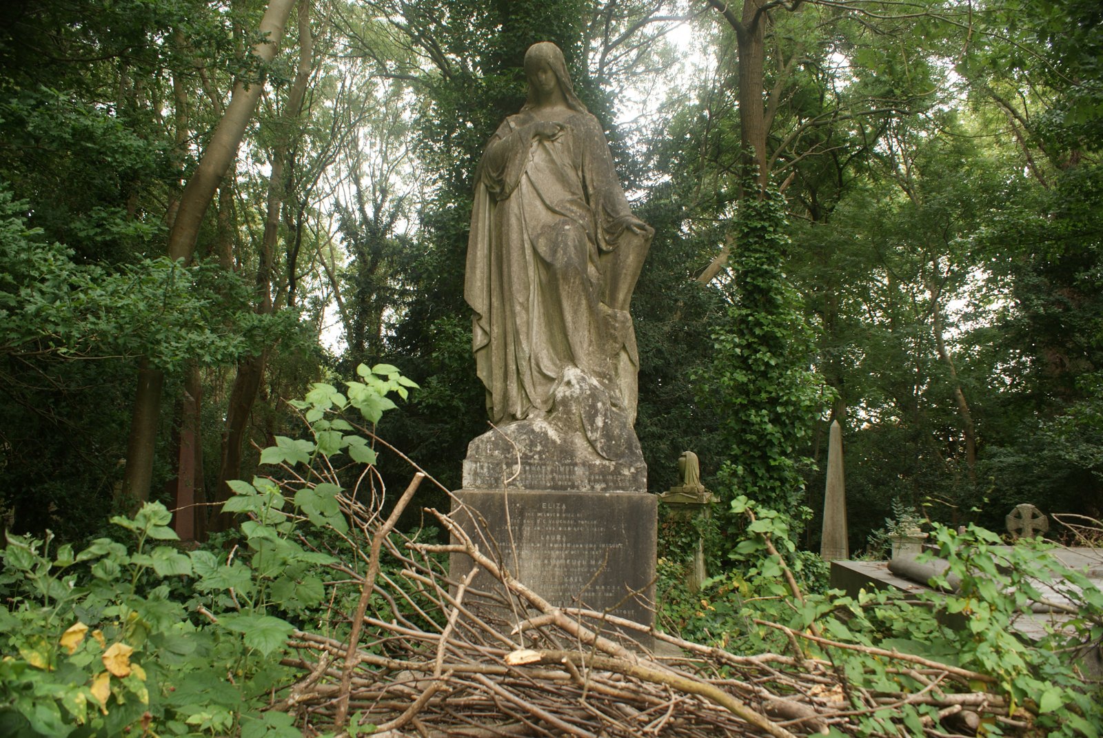 A weathered stone mourning angel overgrown with ivy in Highgate West Cemetery in London, gravestones behind it