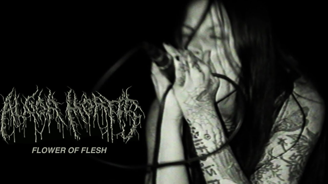 Algor Mortis Put The Art of Suffering Out Tomorrow, on a Hundred CDs
