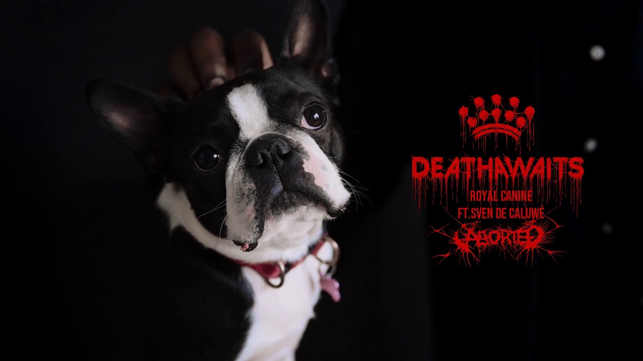 DeathAwaits Borrow Aborted's Singer for the Second Song Off French Bulldog Invasion