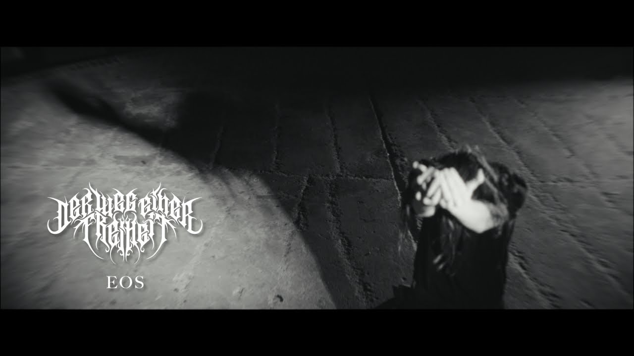 Der Weg einer Freiheit Play Sixteen European Dates in Sixteen Days
