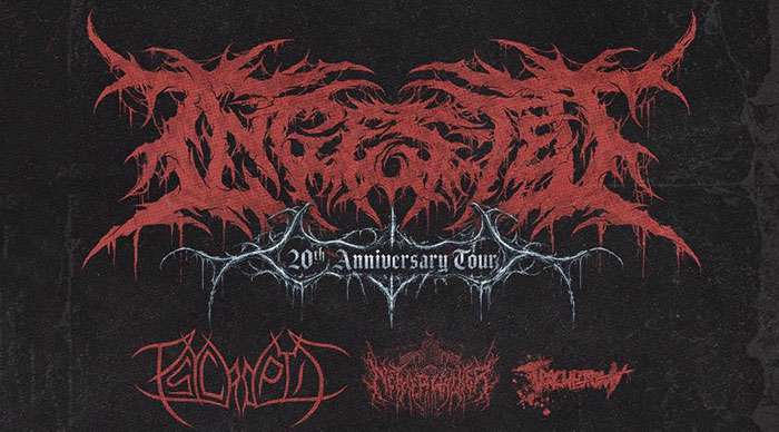 Ingested Mark Twenty Years With Twenty Three Dates and a Teaser