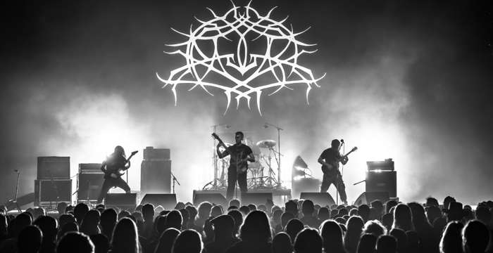 Photo: Lambgoat
