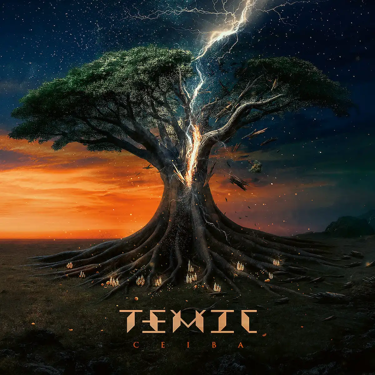 Temic Give Ceiba Away in Full on the Day It Arrives