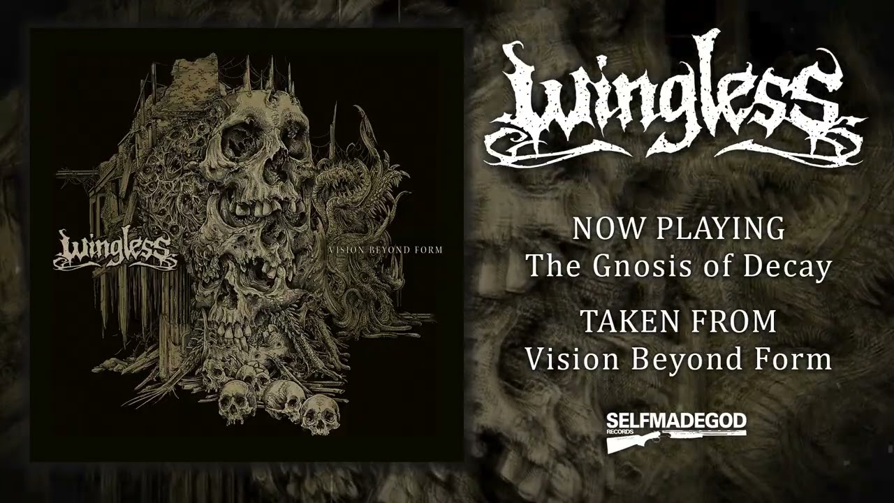 Wingless Cut a Two Minute Song for the Room, Not the Record
