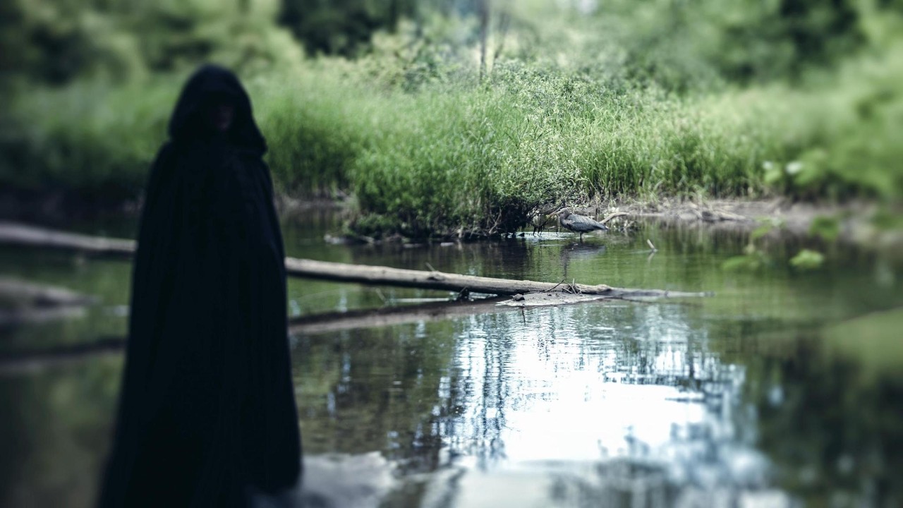 Wolves in the Throne Room Put the Wilderness Back Over the Cities on Estuary